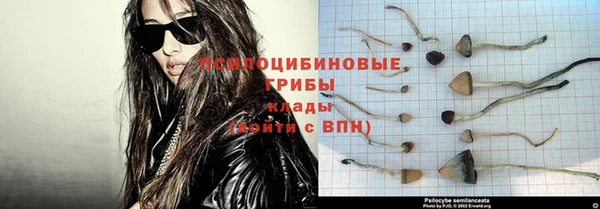 бошки Алексеевка