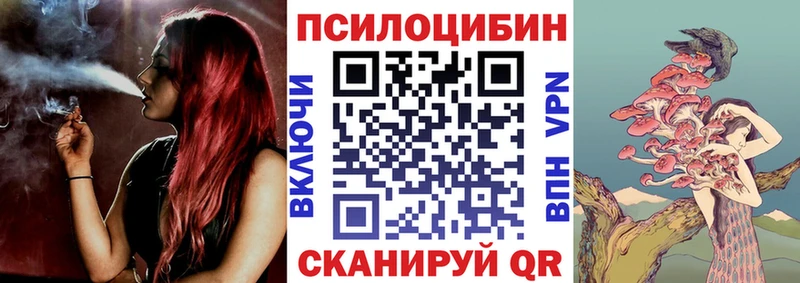 Псилоцибиновые грибы мицелий  где продают   omg сайт  Грайворон 