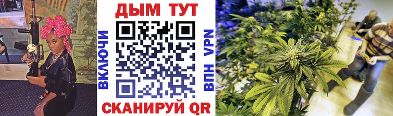 Бошки Шишки план  Грайворон 